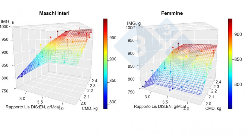 Figura 1. Modello&nbsp;dell&#39;effetto del rapporto lisina-energia e del consumo medio giornaliero in maschi interi e femmine tra 70 e 105 kg di peso vivo. IMG&nbsp;= Incremento&nbsp;medio giornaliero, CMD = consumo medio giornaliero. Fonte: Aymerich et al., 2020.
